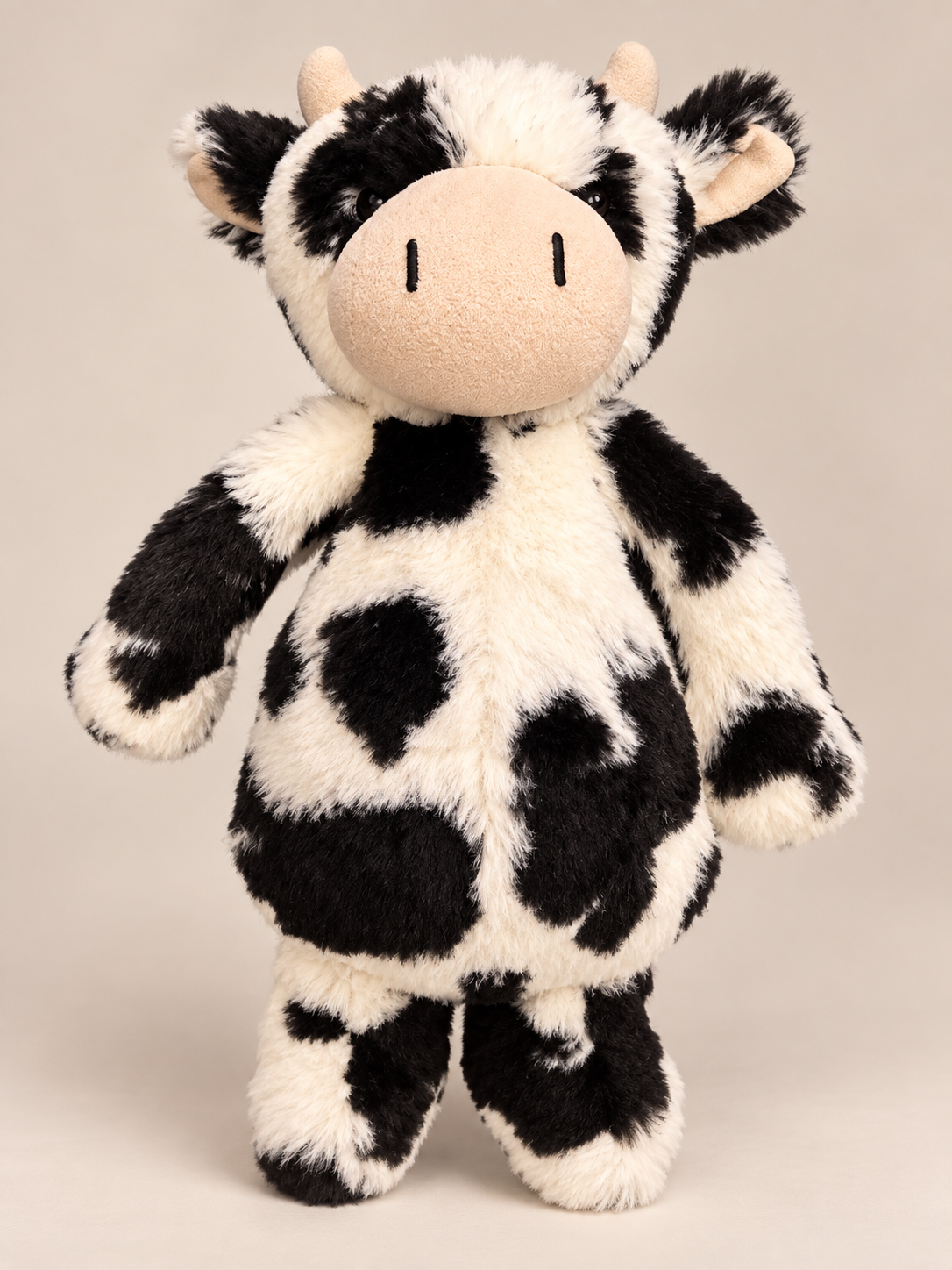 Bashful Cow